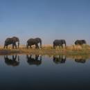 On a budget? Travel to South Africa and get real bang for your buck!