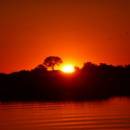 Top 5 Botswana Overland Trips