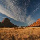 Top 5 Cheap Safari Specials of the Month