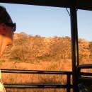 Kruger National Park Game Drive
