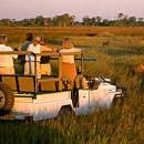 Kruger National Park Game Drive