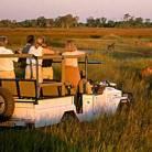 Kruger National Park Game Drive
