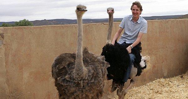 Oudtshoorn Ostrich Farm Visit