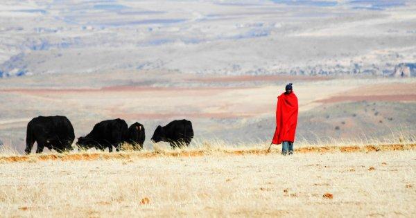 Lesotho Day Trip