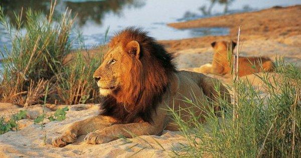 Timbavati Local Village Tour