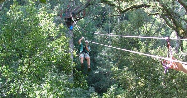Tsitsikamma Treetop Canopy Tour
