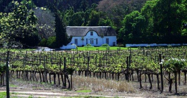 Cape Winelands Wine Tour