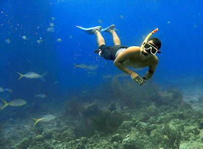 Inhambane Scuba Diving