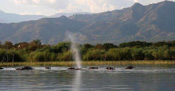Lake Chamo Scenic Boat Cruise