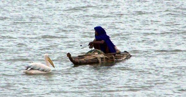 Bahir Dar Fishing
