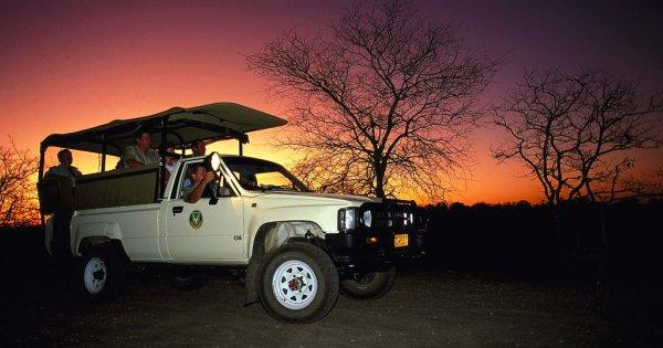 Kruger National Park Night Drive