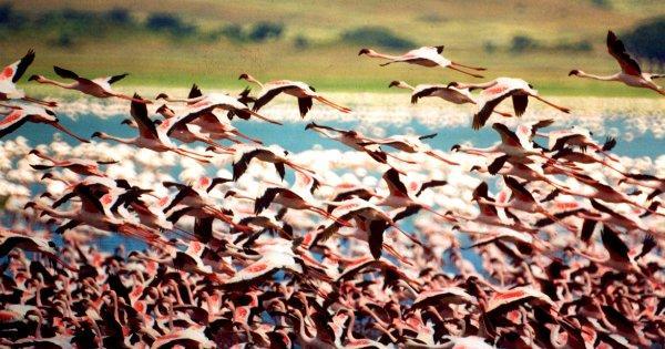 Lake Nakuru National Park