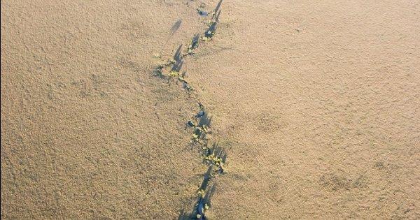 Masai Mara Hot Air Balloon Ride