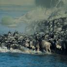 Serengeti National Park Excursion