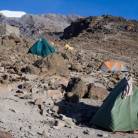 Mt Kilimanjaro Trekking