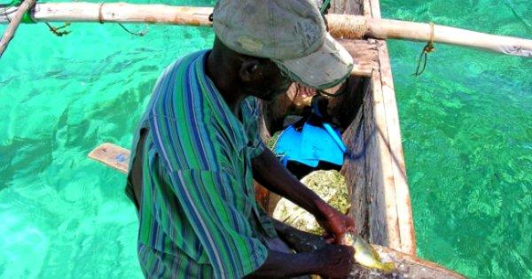 Dhow Fishing Trip - Zanzibar