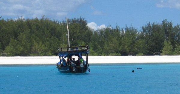 Nungwe Snorkel Trip