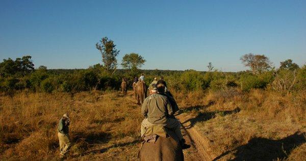 Victoria Falls Elephant Ride