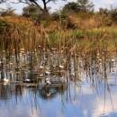 Bwabwata National Park