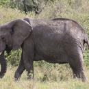 Bwabwata National Park