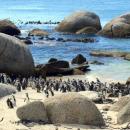 Cape Town