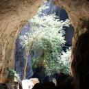 Chinhoyi
