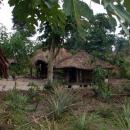 Chirinda Forest