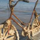 Dead Sea, Jordan