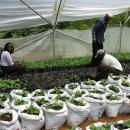 Eldoret