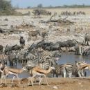 Etosha National Park