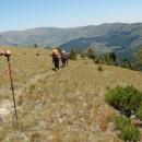 Hogsback