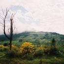 Hogsback
