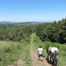 Hogsback