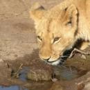 Hwange National Park