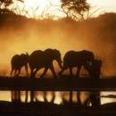 Hwange National Park