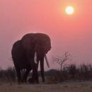 Hwange National Park