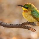 Kafue National Park