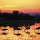 Kafue National Park