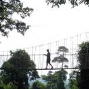 Kakum National Park