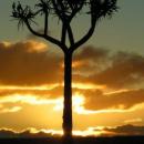 Keetmanshoop