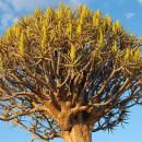 Keetmanshoop