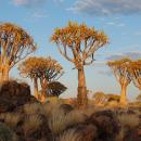 Keetmanshoop