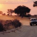 Kgalagadi Transfrontier National Park