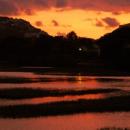Knysna