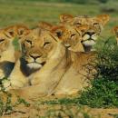 Kruger National Park
