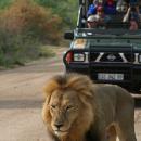 Kruger National Park