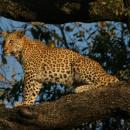 Kruger National Park