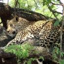 Kruger National Park