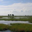 Kwando River