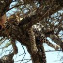 Lake Manyara National Park